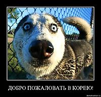 ДОБРО ПОЖАЛОВАТЬ В КОРЕЮ! 
