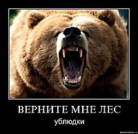 ВЕРНИТЕ МНЕ ЛЕС ублюдки
