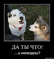 ДА ТЫ ЧТО! ....а непиздиш?