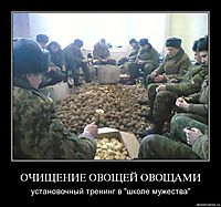 ОЧИЩЕНИЕ ОВОЩЕЙ ОВОЩАМИ установочный тренинг в "школе мужества"