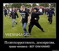 Политкорректность, демократия, права человека - ВОТ ОНИ КАКИЕ!