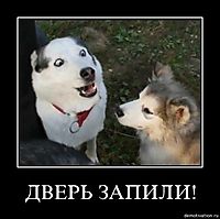 ДВЕРЬ ЗАПИЛИ! 