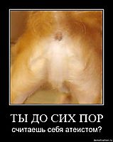 ТЫ ДО СИХ ПОР