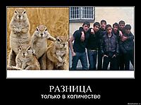 РАЗНИЦА только в количестве
