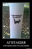 АГИТАЦИЯ чтоб чуреки знали что у них в крови