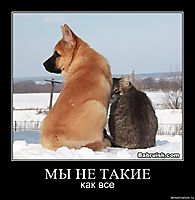 МЫ НЕ ТАКИЕ как все