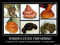 ИЗБИРАТЕЛИ УКРАИНЫ! 17 января 2010 г. сделайте правильный выбор - это очень важно.