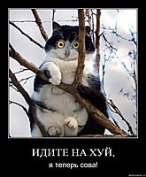 ИДИТЕ НА ХУЙ, я теперь сова!