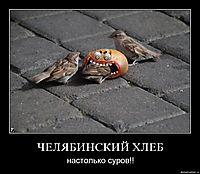 ЧЕЛЯБИНСКИЙ ХЛЕБ настолько суров!!