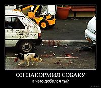 ОН НАКОРМИЛ СОБАКУ а чего добился ты?