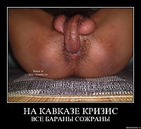НА КАВКАЗЕ КРИЗИС ВСЕ БАРАНЫ СОЖРАНЫ