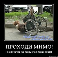 ПРОХОДИ МИМО! она конечно же привыкла к такой жизни