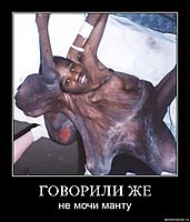 ГОВОРИЛИ ЖЕ не мочи манту