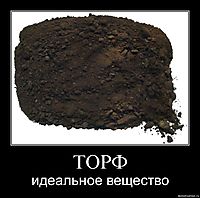 ТОРФ идеальное вещество
