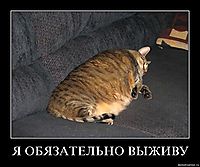 Я ОБЯЗАТЕЛЬНО ВЫЖИВУ 