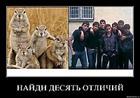 НАЙДИ ДЕСЯТЬ ОТЛИЧИЙ 