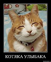 КОТЯКА УЛЫБАКА 