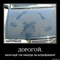 ДОРОГОЙ, меня ещё так никогда не штрафовали!
