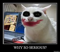 WHY SO SERIOUS? 