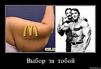 Выбор  за  тобой 