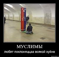 МУСЛИМЫ любят поклоняццаа всякой хуйне