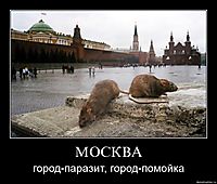 МОСКВА город-паразит, город-помойка