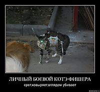 ЛИЧНЫЙ БОЕВОЙ КОТЭ ФИШЕРА срет,ковыряет,вглядом убивает
