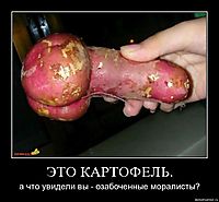 ЭТО КАРТОФЕЛЬ. а что увидели вы - озабоченные моралисты?