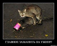 ГЛАВНОЕ ЗАМАНИТЬ НА УЖИН!!! 