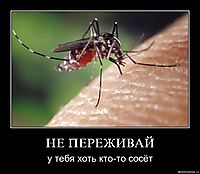 НЕ ПЕРЕЖИВАЙ у тебя хоть кто-то сосёт