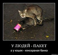 У ЛЮДЕЙ - ПАКЕТ а у кошек - консервная банка