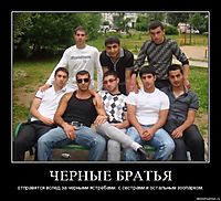 ЧЕРНЫЕ БРАТЬЯ отправятся вслед за черными ястребами. с сестрами и остальным зоопарком.