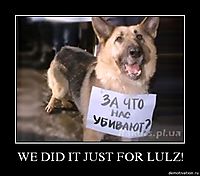 WE DID IT JUST FOR LULZ! 