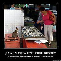 ДАЖЕ У КОТА ЕСТЬ СВОЙ БИЗНЕС