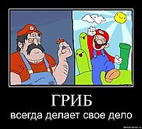 ГРИБ всегда делает свое дело