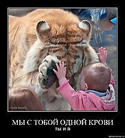 МЫ С ТОБОЙ ОДНОЙ КРОВИ ты и я