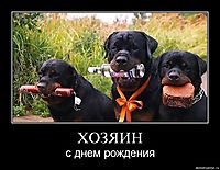 ХОЗЯИН с днем рождения