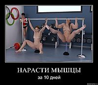 НАРАСТИ МЫШЦЫ за 10 дней
