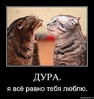 ДУРА. я всё равно тебя люблю.