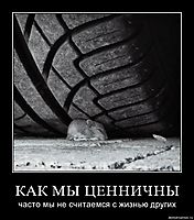 КАК МЫ ЦЕННИЧНЫ часто мы не считаемся с жизнью других