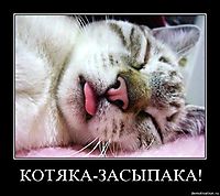 КОТЯКА-ЗАСЫПАКА! 