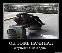 ОН ТОЖЕ НАЧИНАЛ с бутылки пива в день...