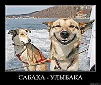 САБАКА - УЛЫБАКА 