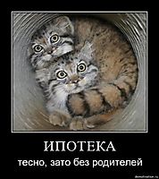 ИПОТЕКА тесно, зато без родителей