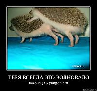 ТЕБЯ ВСЕГДА ЭТО ВОЛНОВАЛО наконец ты увидел это
