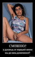 СМЕШНО? а думаешь от хорошей жизни мы до овец домогаемся?