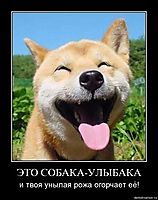 ЭТО СОБАКА-УЛЫБАКА и твоя унылая рожа огорчает её!