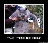 ТАААК!  НУ И ХТО ТЕБЯ ОБИДЕЛ? 
