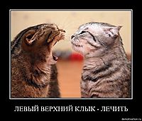 ЛЕВЫЙ ВЕРХНИЙ КЛЫК - ЛЕЧИТЬ 
