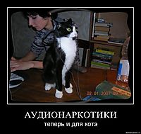 АУДИОНАРКОТИКИ теперь и для котэ
